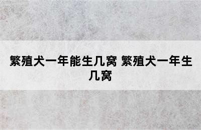 繁殖犬一年能生几窝 繁殖犬一年生几窝